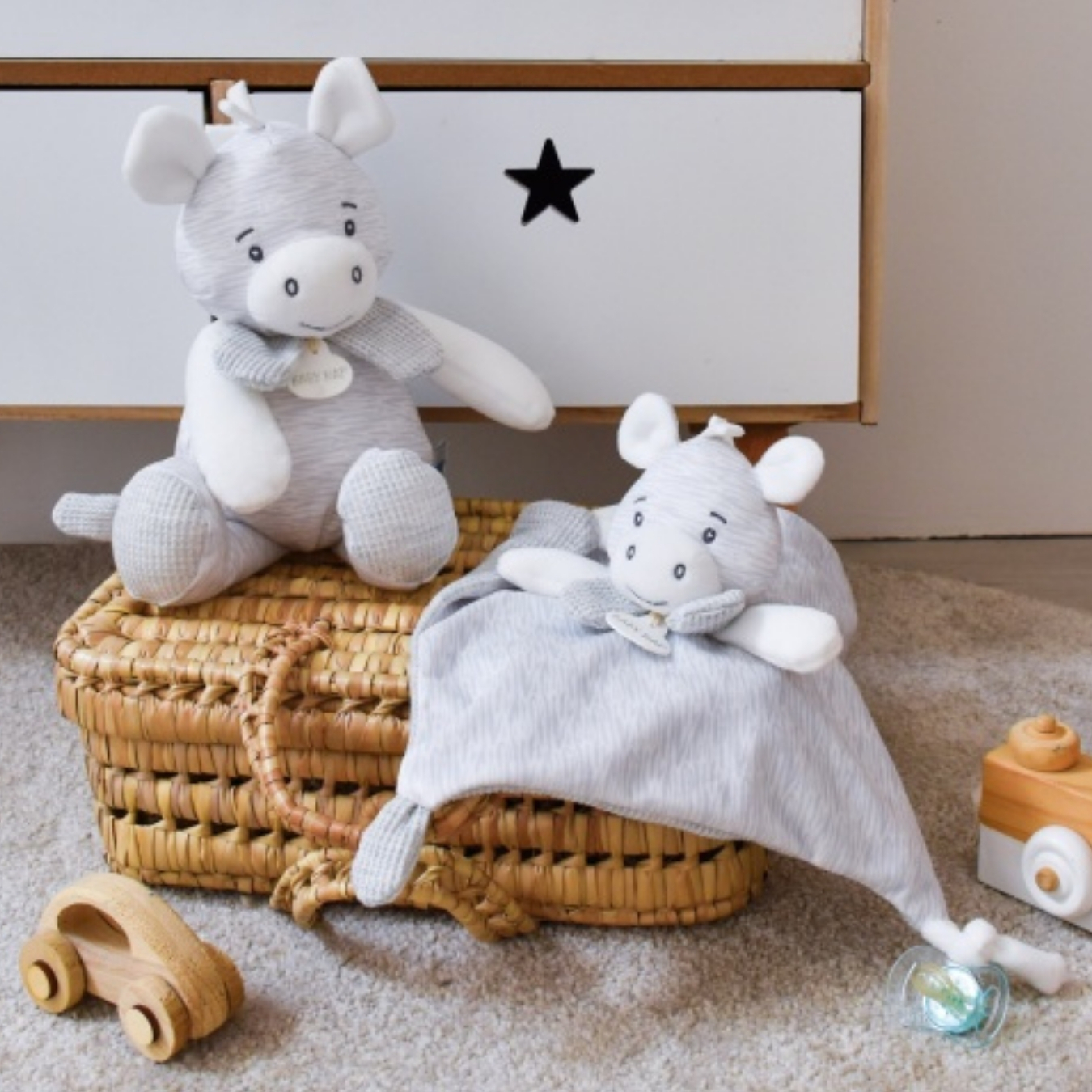 Doudou Mahè le Zèbre – Image 3